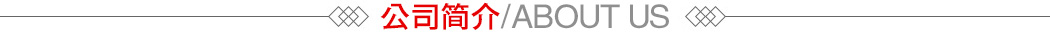 公司簡介